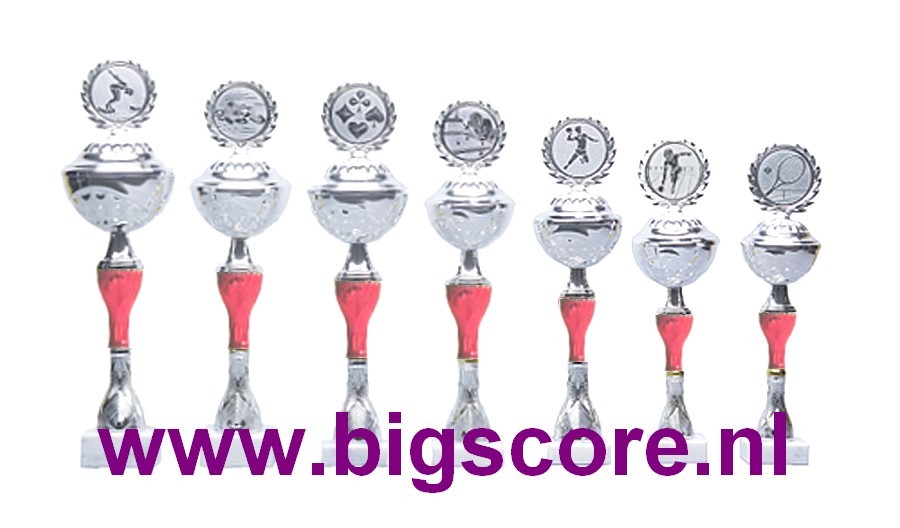 Z512 Beker Rood-Zilver